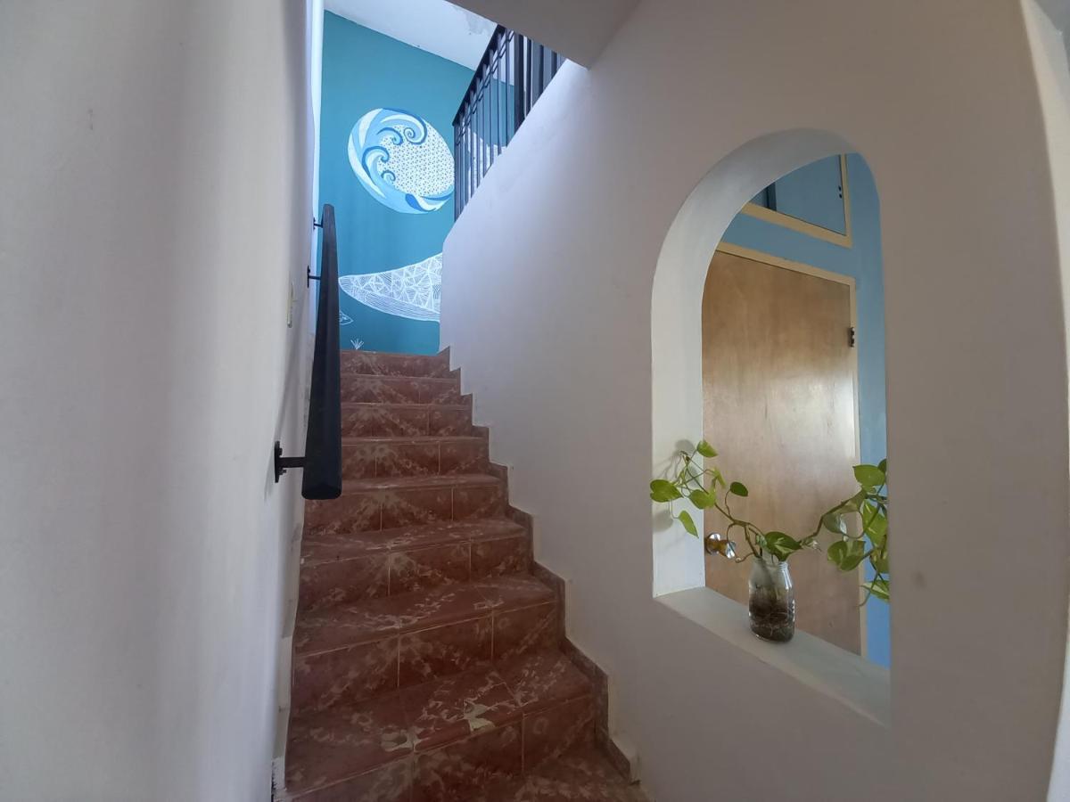 Bermejo Hostel La Paz Exteriér fotografie